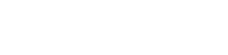 seagate